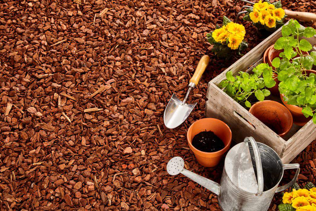 Planting pots, trowel, steel watering can and wooden box full of seedlings over red pine bark mulch with copy space outdoors