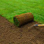 Gardener applying turf rolls in the backyard