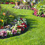 Beautiful home garden in full bloom