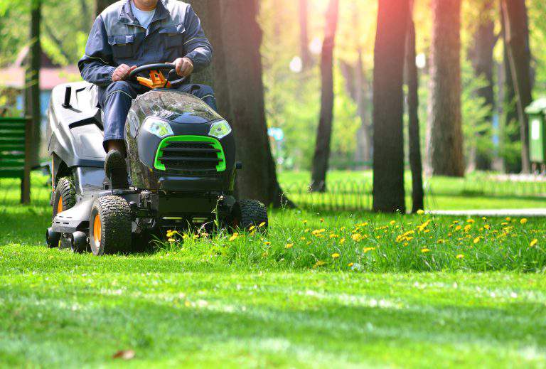 Green grass treeming with lawn mower