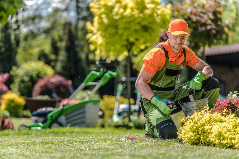 Professional Caucasian Gardener in His 30s and the Beautiful Residential Backyard Garden. Summer Time Maintenance.